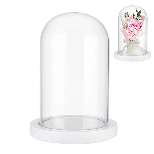 Glass Dome Cover with White Wood Base