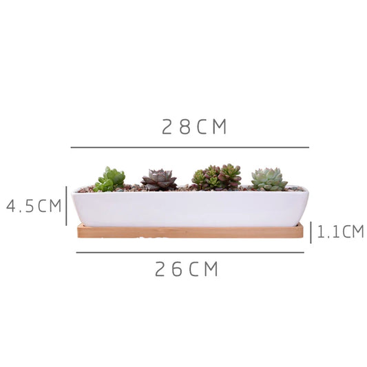 Long Rectangle White Ceramic Succulent Planter