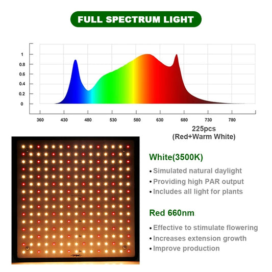 1000W Indoor LED Grow Light