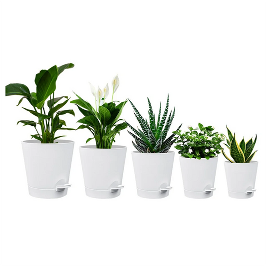5-Pack 5-Inch Self-Watering Pots