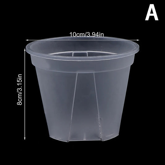Clear Flower Pot with Tray