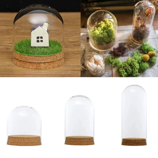 50pcs 8cm Clear Glass Dome Covers with Cork Base