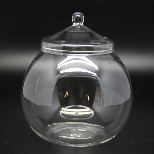 Micro Landscape Moss Ball Glass Vase with Lid