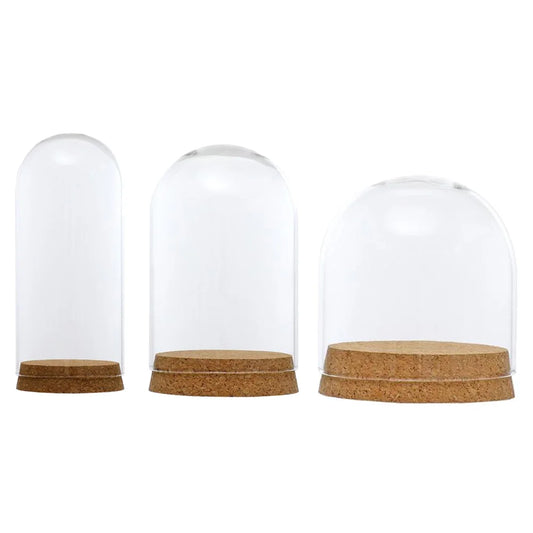 Flower Glass Dome Cover with Wooden Cork Base