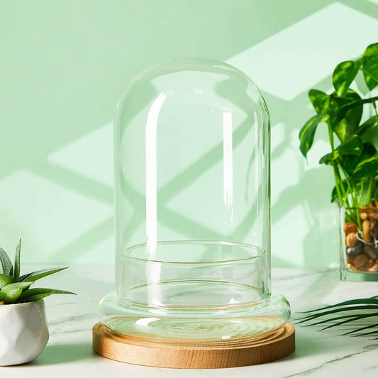 Glass Dome with Airhole