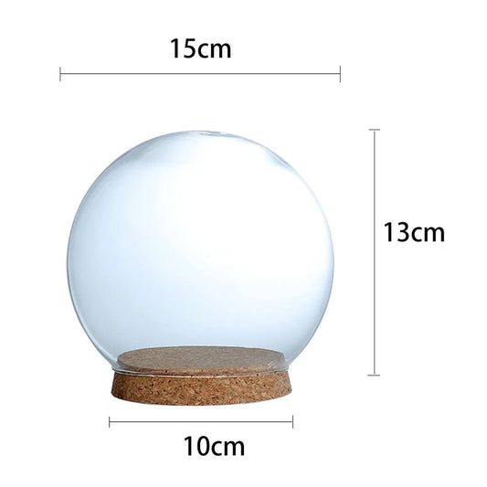 Clear Glass Dome Cover with Wooden Base