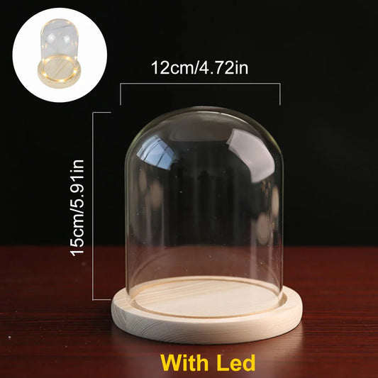 Glass Dome with Wooden Base & LED Light