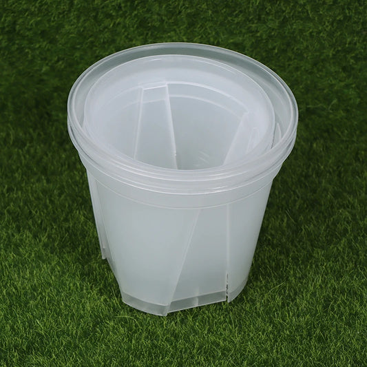Clear Flower Pot with Tray