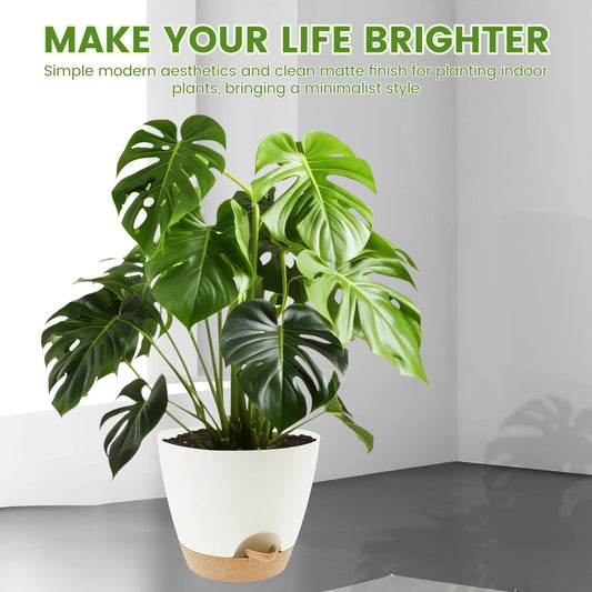 3Pcs Self-Watering Flower Pots