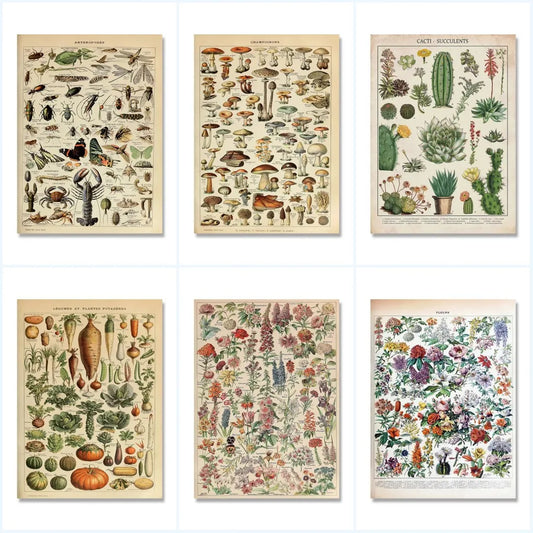 Vintage Adolphe Millot Encyclopedia Posters