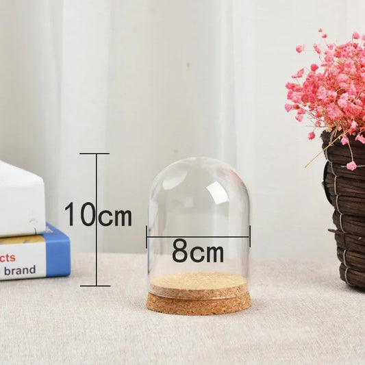 Glass Dome Cover for Flowers & Succulent Plants