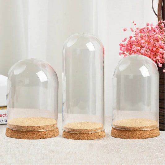 10–18cm Clear Glass Hemisphere Covers