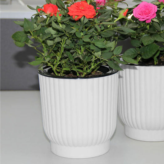 Self-Watering White Round Planter