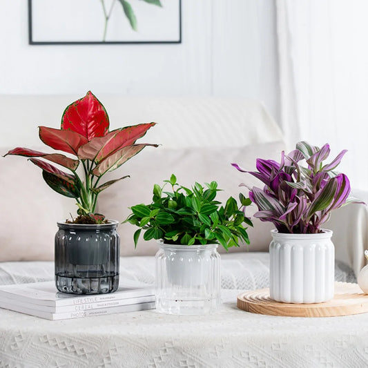 New Fashion Self-Watering Hydroponic Plant Pot