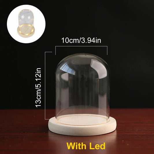 Clear Glass Dome Cloche with Wooden LED Light Base