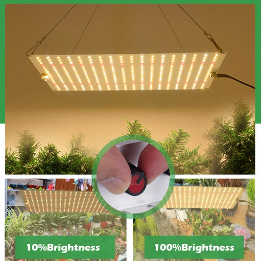 LED Grow Light LM281B Chip