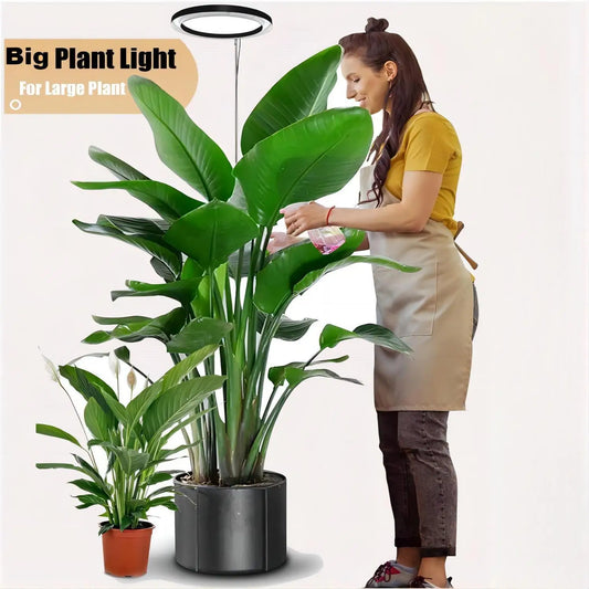 Grow Light