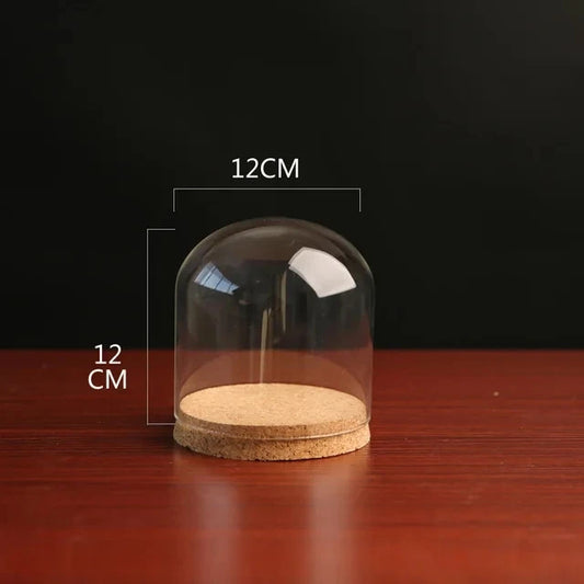24pcs 12cm Clear Glass Terrarium Domes with Cork Base