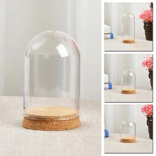 10–18cm Clear Glass Hemisphere Covers