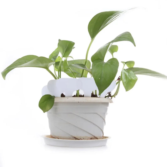 100Pcs T-Type Plastic Nursery Plant Tags