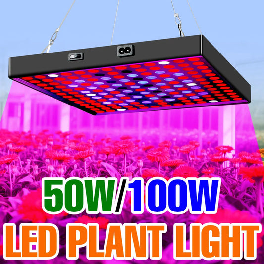 100W LED Full Spectrum Grow Light