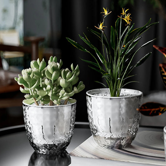 Hydroponic Self-Watering Plant Vase