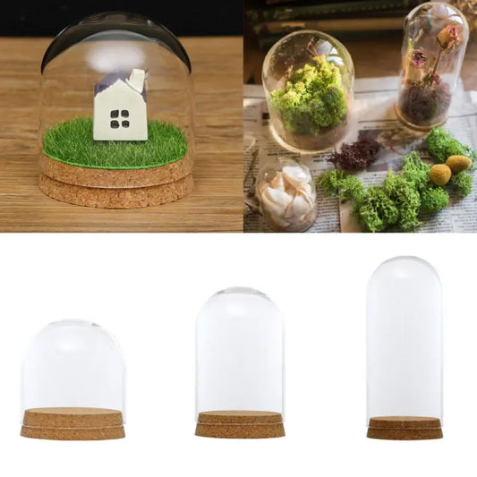 Flower Glass Dome Cover with Wooden Cork Base