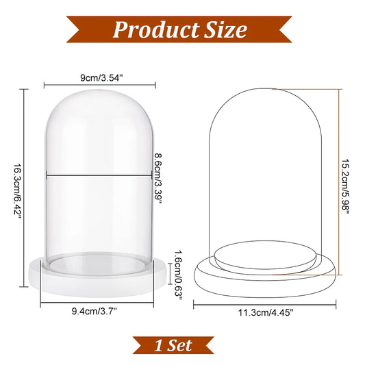 Glass Dome Cover with White Wood Base