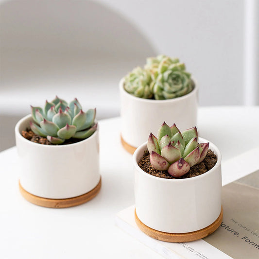 Ceramic Planter Pot with Bamboo Tray