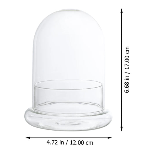 Mini Ecological Moss Glass Bottles
