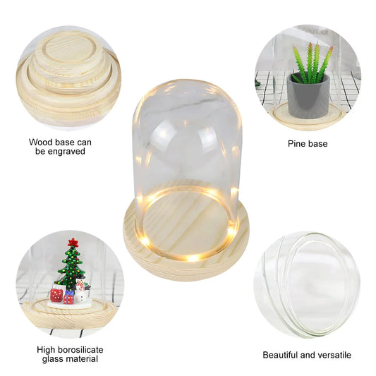 Clear Glass Dome Cloche with Wooden LED Lights Base