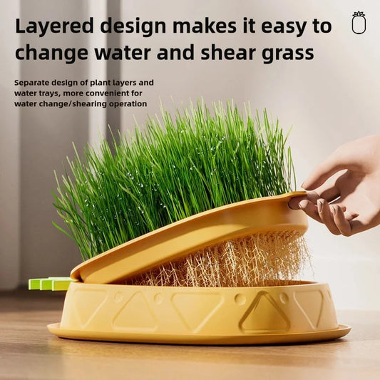 Hydroponic Cat Grass Planter