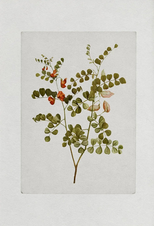 Vintage Botanical Rustic Wall Art