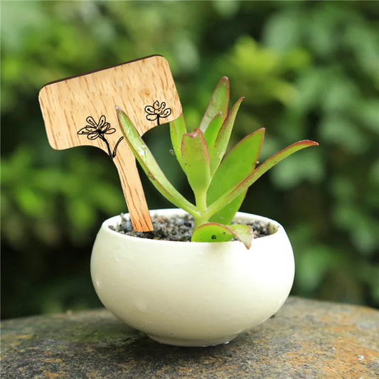 10/20/30PCS T-Type Bamboo Plant Labels