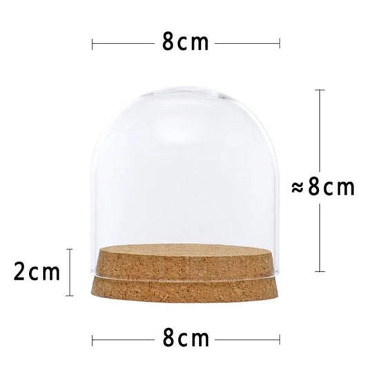 50pcs 8cm Clear Glass Dome Covers with Cork Base